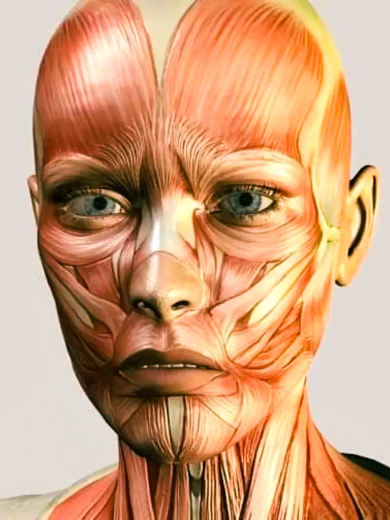 1700209935165-2